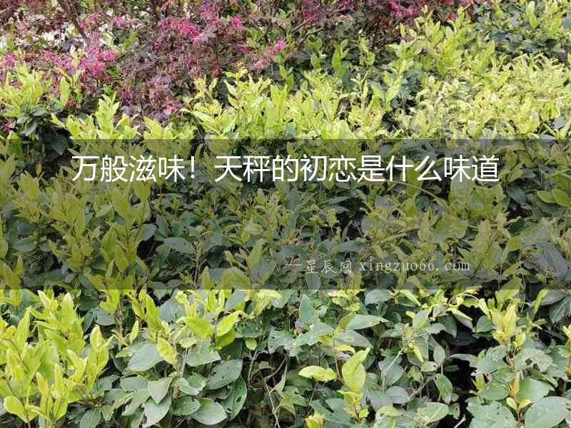 萬般滋味！天秤的初戀是什么味道