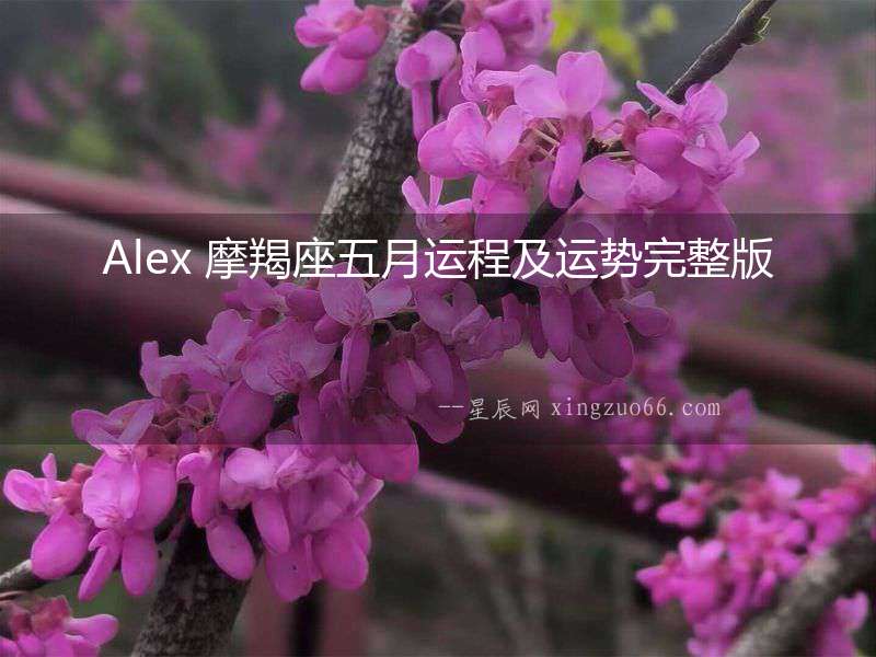 Alex 摩羯座五月運程及運勢完整版