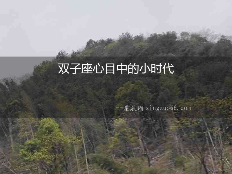 雙子座心目中的小時代