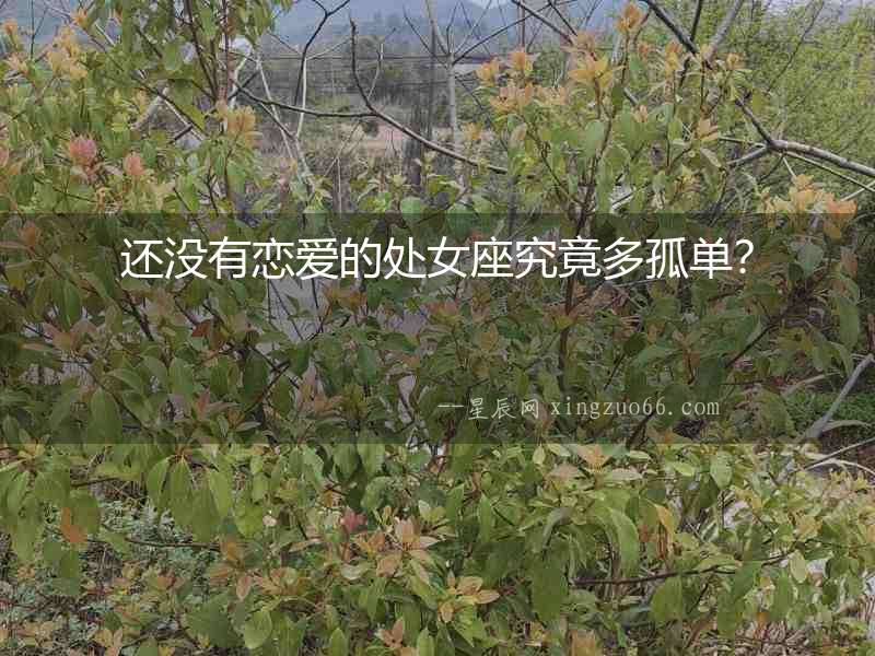 還沒有戀愛的處女座究竟多孤單？