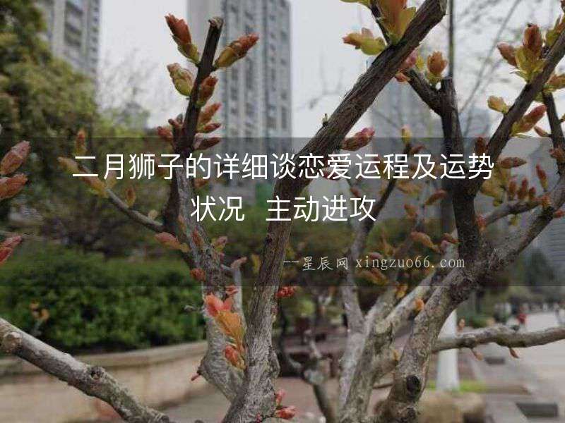 二月獅子的詳細(xì)談戀愛運(yùn)程及運(yùn)勢狀況  主動(dòng)進(jìn)攻