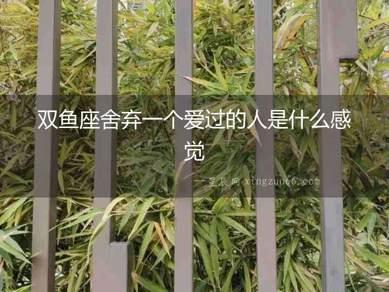 雙魚座舍棄一個愛過的人是什么感覺