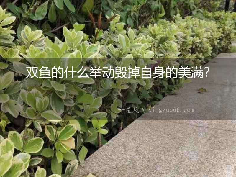 雙魚的什么舉動(dòng)毀掉自身的美滿？