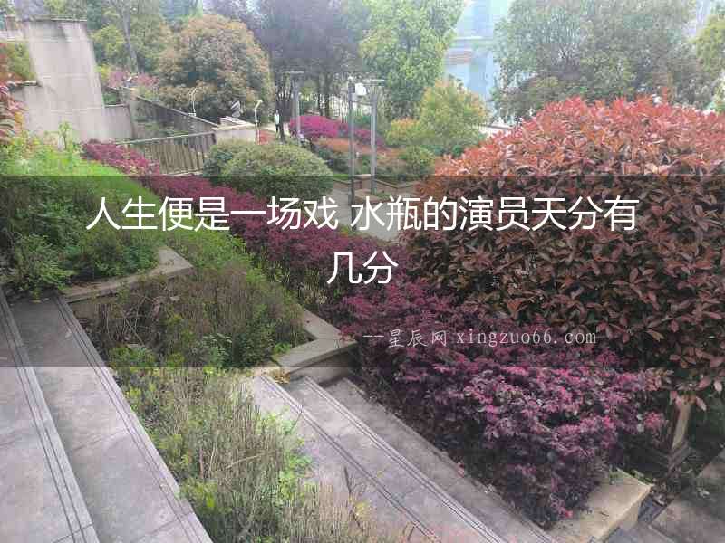 人生便是一場戲 水瓶的演員天分有幾分