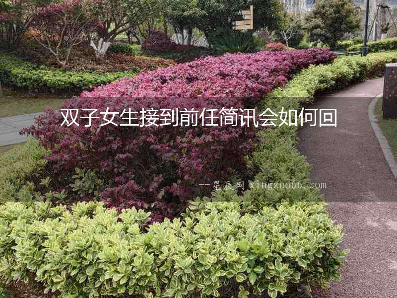 雙子女生接到前任簡訊會(huì)如何回
