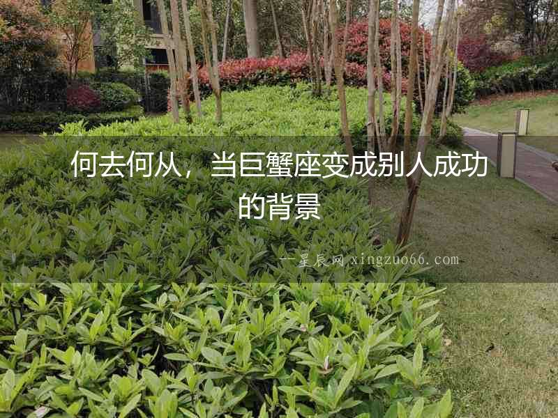 何去何從，當巨蟹座變成別人成功的背景