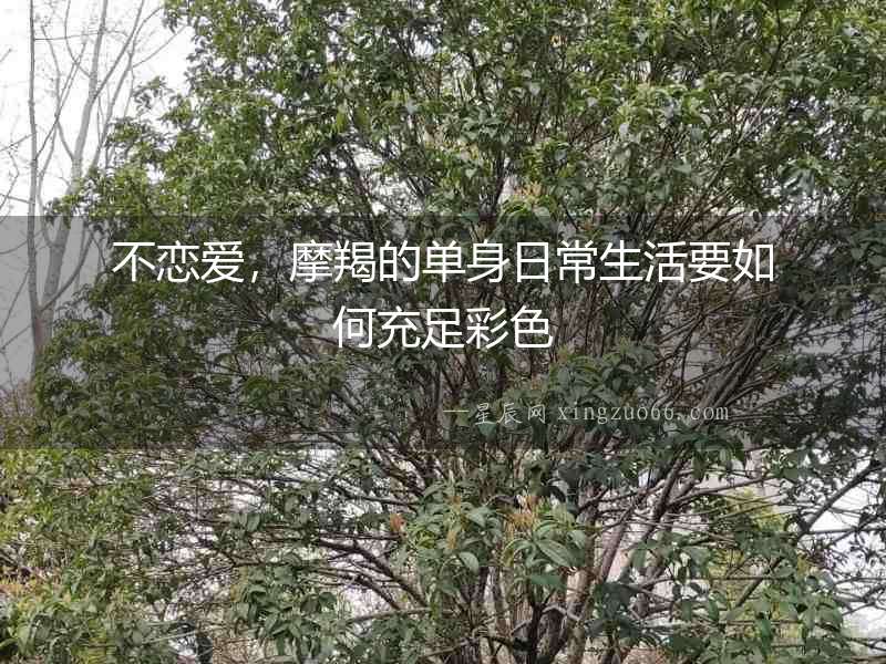 不戀愛，摩羯的單身日常生活要如何充足彩色