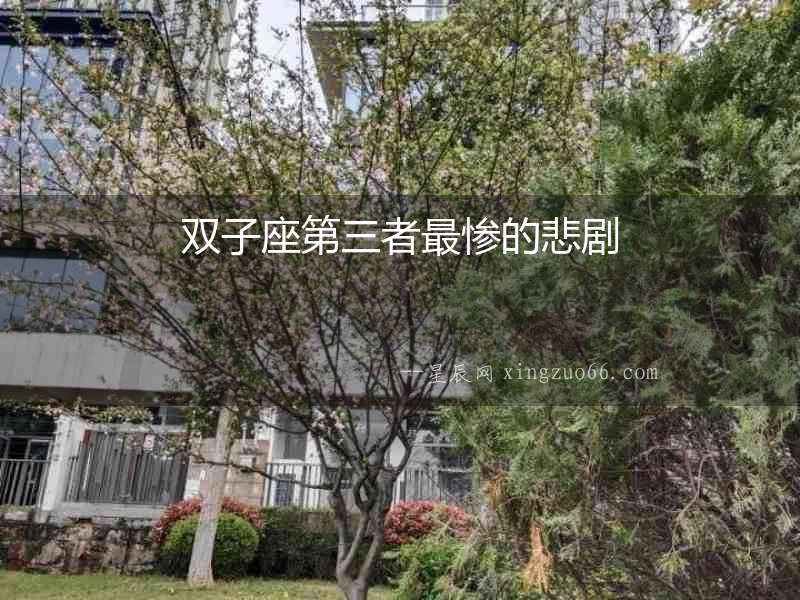 雙子座第三者最慘的悲劇