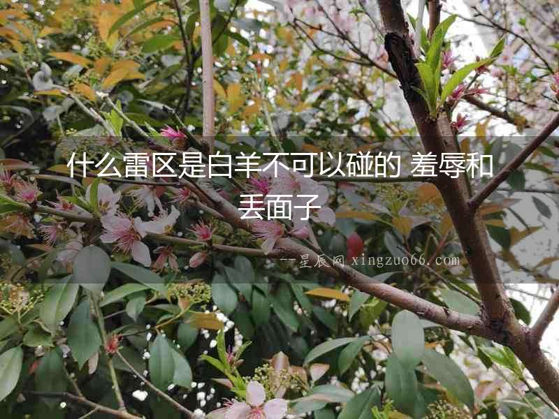 什么雷區(qū)是白羊不可以碰的 羞辱和丟面子