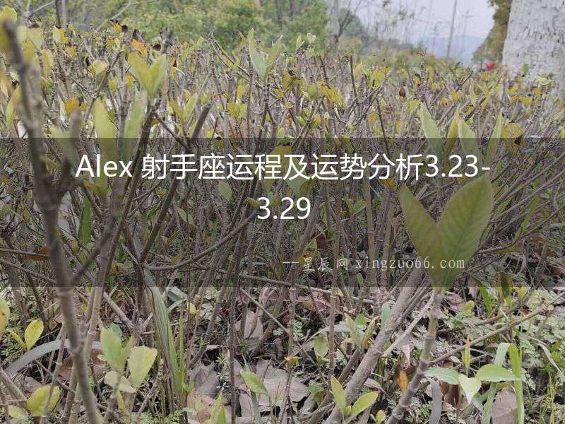 Alex 射手座運程及運勢分析3.23-3.29