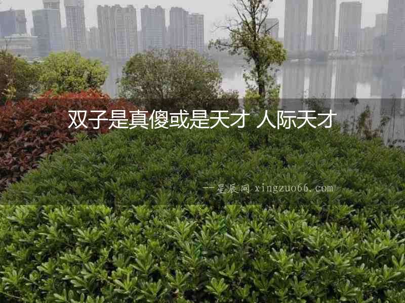 雙子是真傻或是天才 人際天才