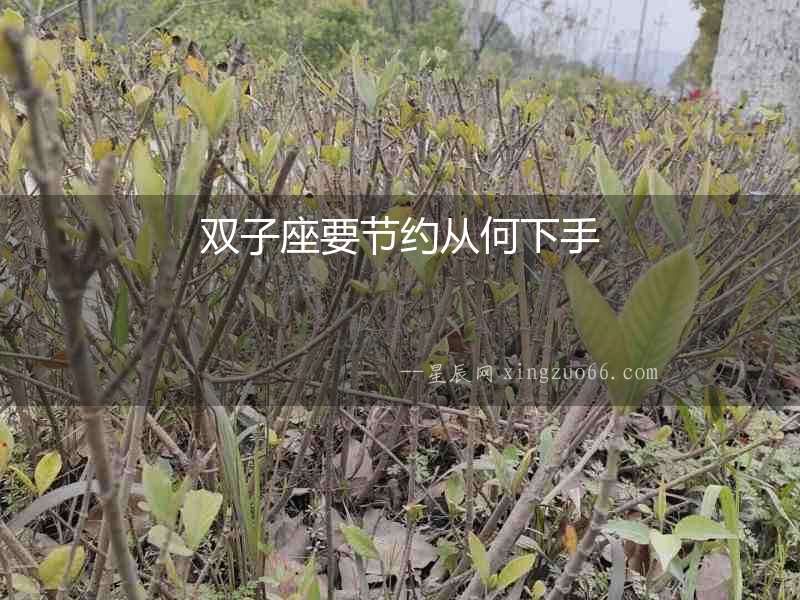 雙子座要節(jié)約從何下手