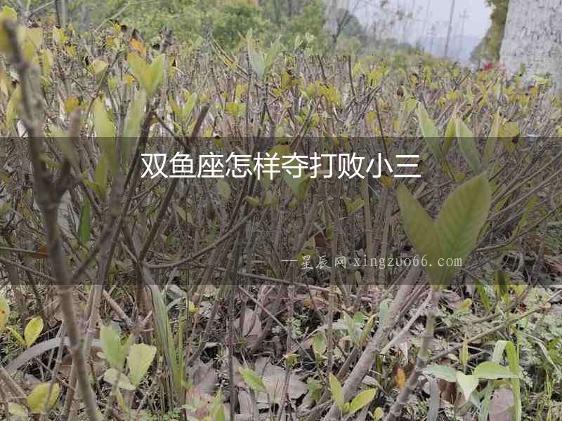 雙魚座怎樣奪打敗小三