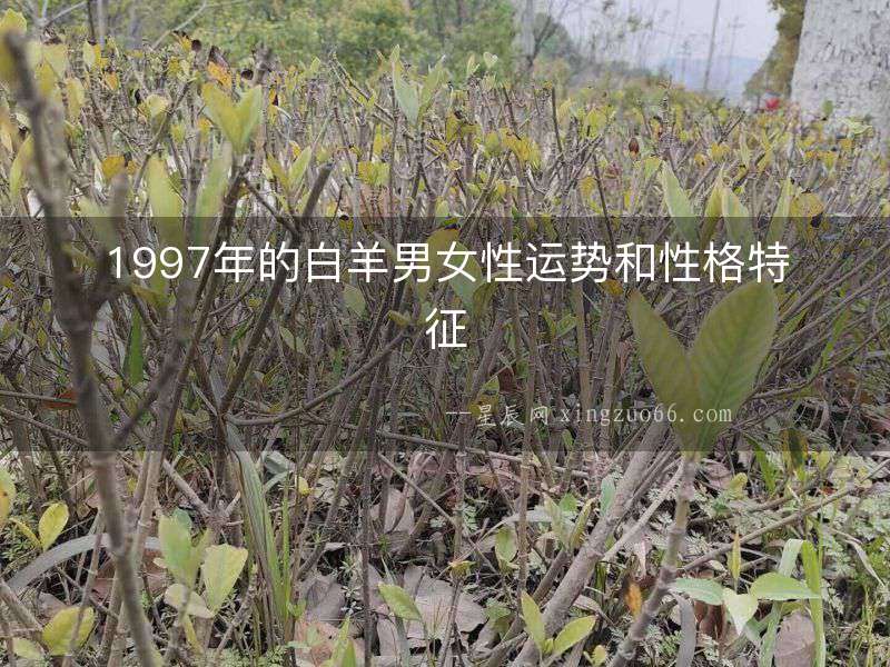 1997年的白羊男女性運勢和性格特征