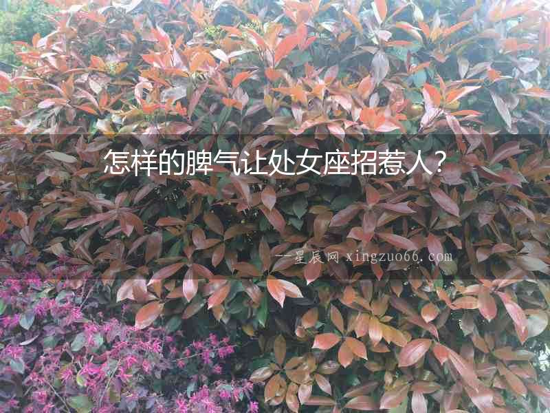 怎樣的脾氣讓處女座招惹人？