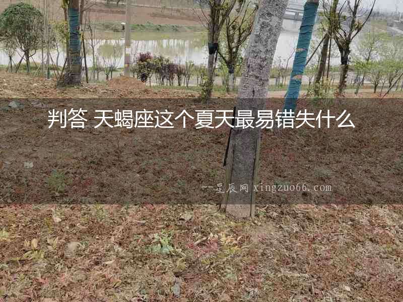 判答 天蝎座這個夏天最易錯失什么