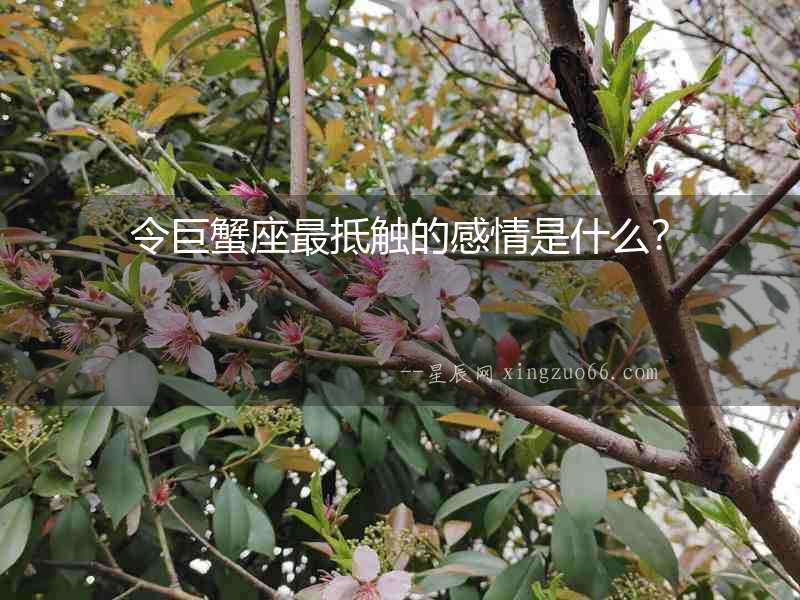 令巨蟹座最抵觸的感情是什么？