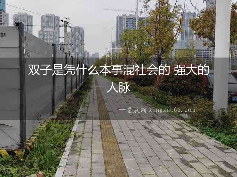 雙子是憑什么本事混社會的 強大的人脈