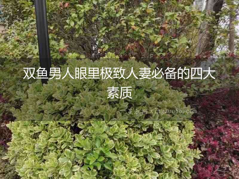 雙魚男人眼里極致人妻必備的四大素質
