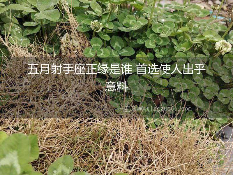 五月射手座正緣是誰 首選使人出乎意料