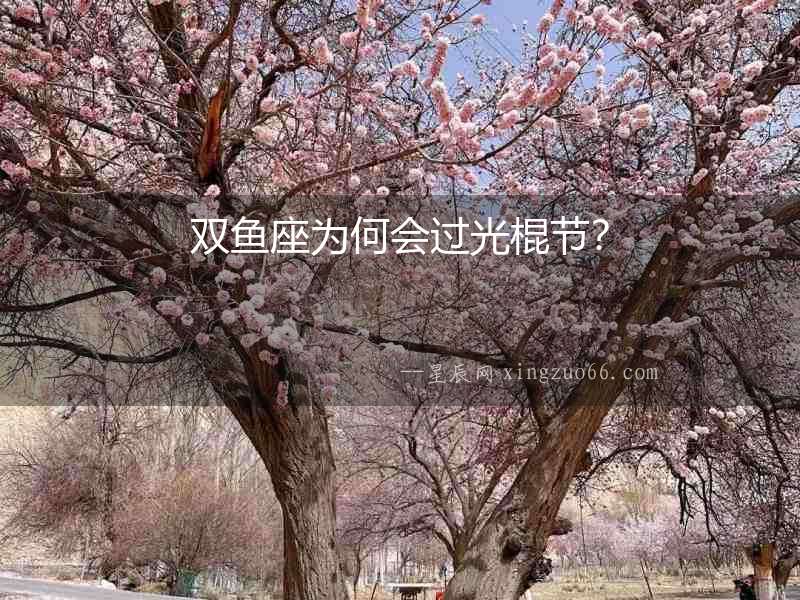 雙魚座為何會過光棍節？