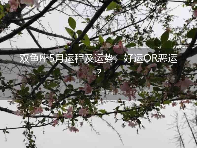 雙魚座5月運程及運勢，好運OR惡運？