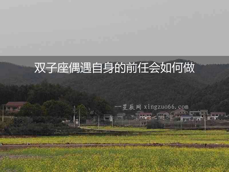 雙子座偶遇自身的前任會如何做