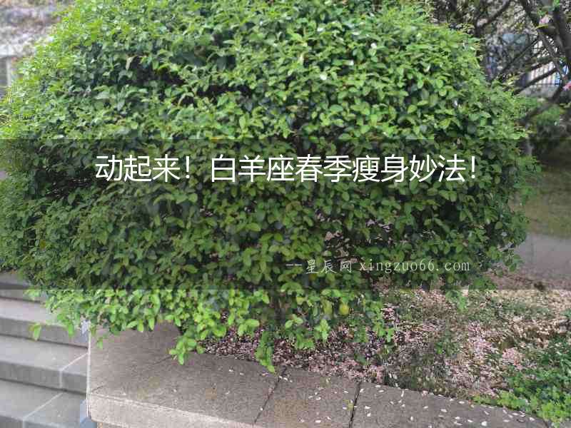 動起來！白羊座春季瘦身妙法！