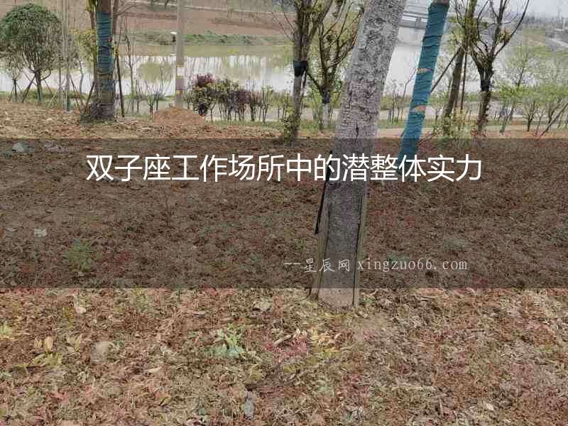雙子座工作場所中的潛整體實力