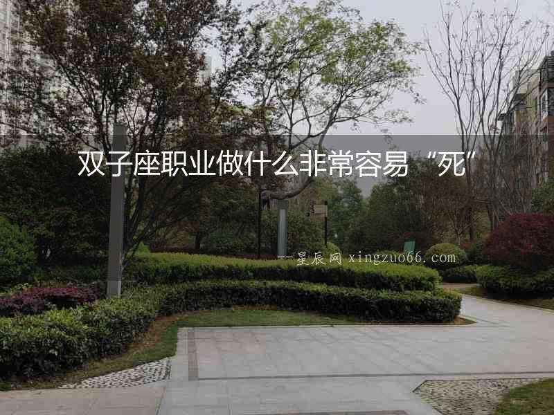雙子座職業(yè)做什么非常容易“死”