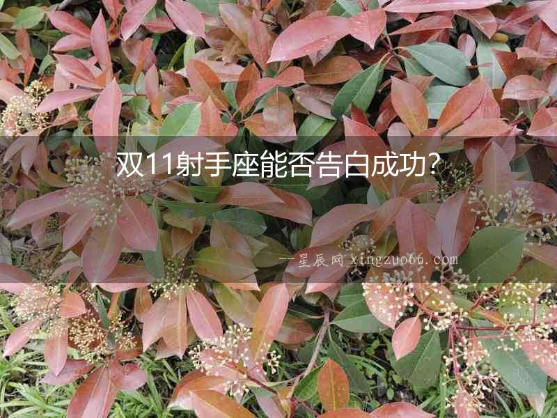 雙11射手座能否告白成功？
