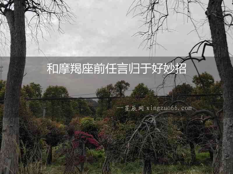 和摩羯座前任言歸于好妙招