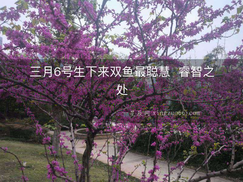 三月6號生下來雙魚最聰慧  睿智之處