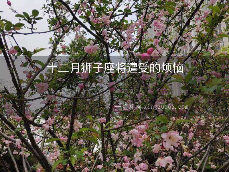十二月獅子座將遭受的煩惱