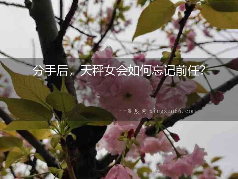 分手后，天秤女會如何忘記前任？