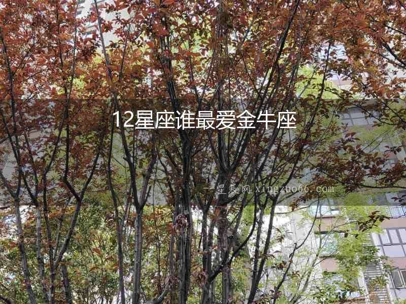 12星座誰(shuí)最愛(ài)金牛座