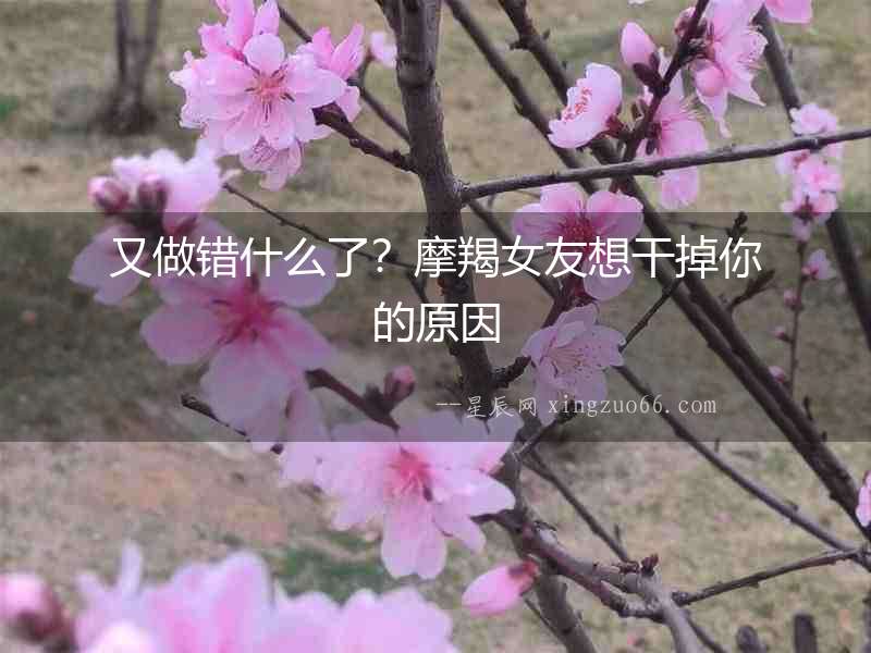 又做錯什么了？摩羯女友想干掉你的原因