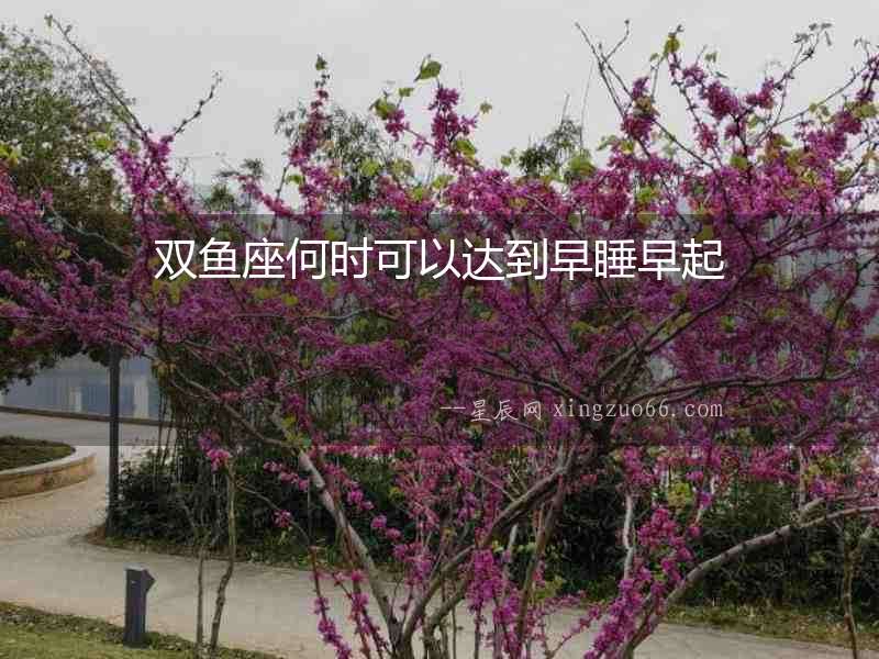 雙魚座何時可以達到早睡早起