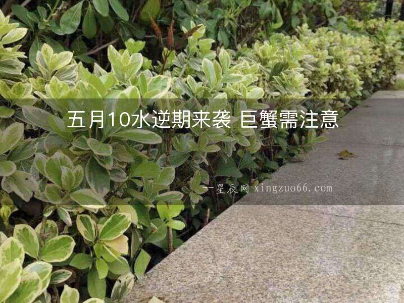 五月10水逆期來(lái)襲 巨蟹需注意