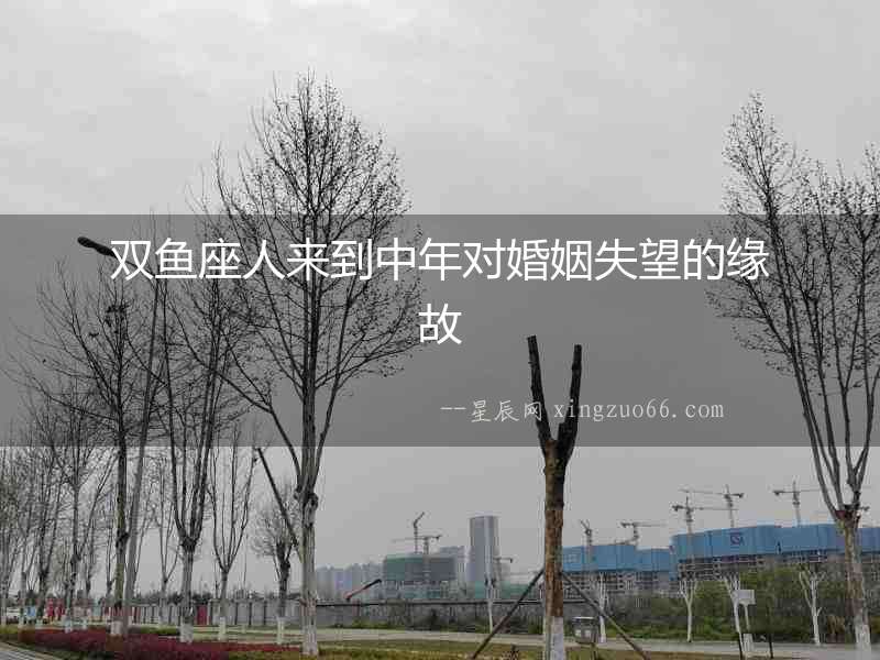雙魚座人來到中年對(duì)婚姻失望的緣故