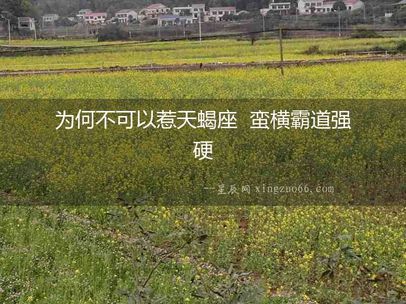 為何不可以惹天蝎座  蠻橫霸道強(qiáng)硬