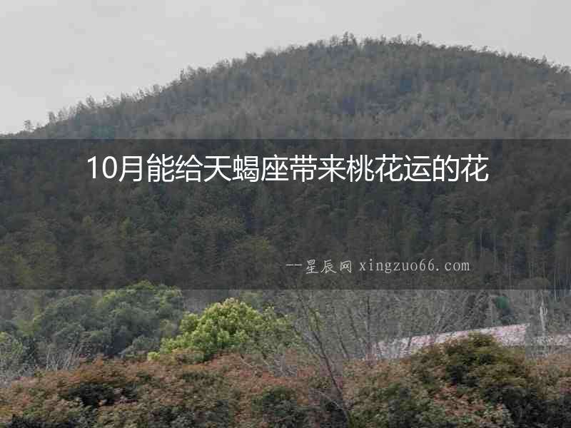 10月能給天蝎座帶來桃花運的花