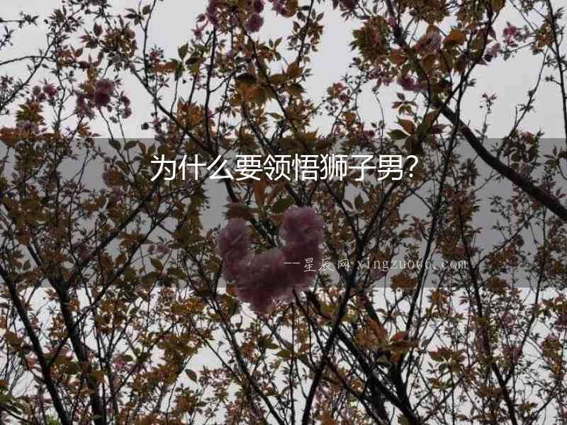 為什么要領悟獅子男？
