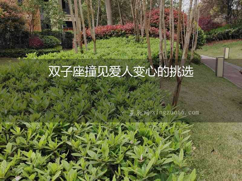 雙子座撞見愛人變心的挑選