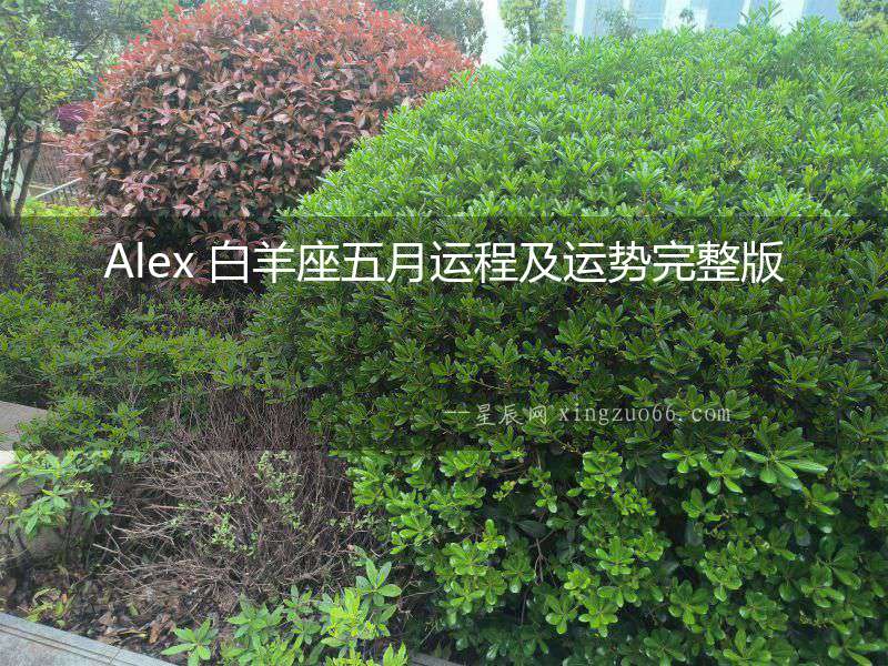 Alex 白羊座五月運(yùn)程及運(yùn)勢(shì)完整版