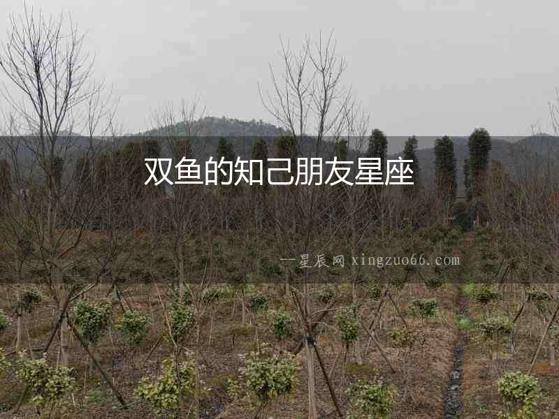 雙魚的知己朋友星座
