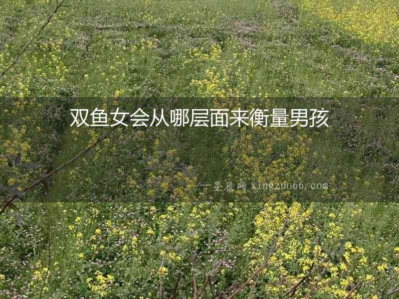 雙魚女會從哪層面來衡量男孩