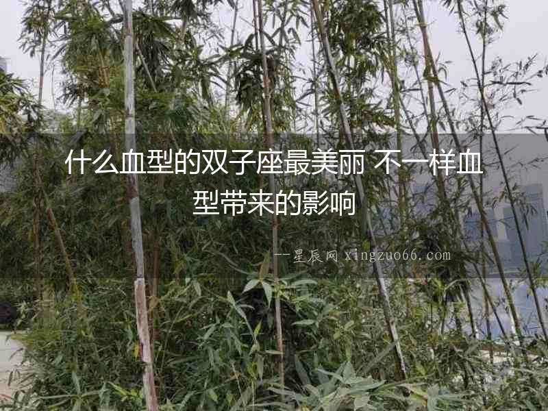 什么血型的雙子座最美麗 不一樣血型帶來的影響