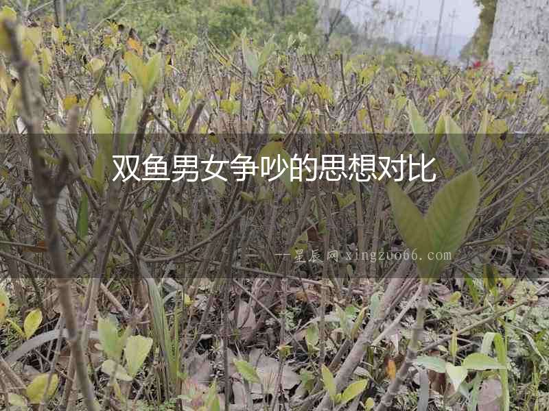雙魚男女爭吵的思想對比