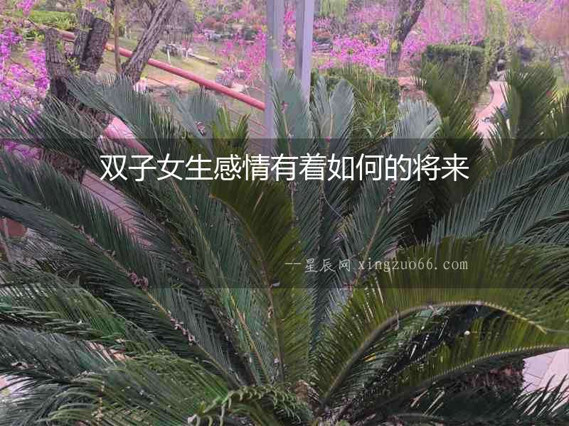 雙子女生感情有著如何的將來
